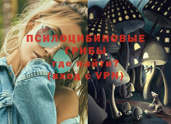 сатива Магадан