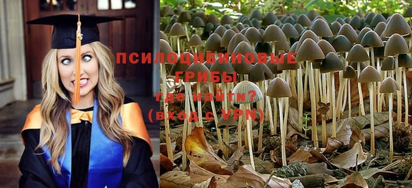 каннабис Майский