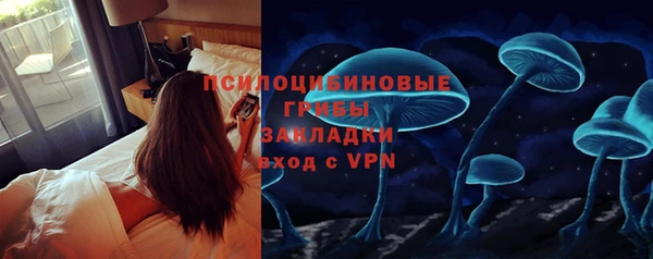 каннабис Майский
