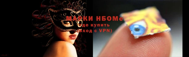 сатива Магадан