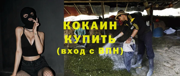 сатива Магадан