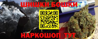 шишки Кинель
