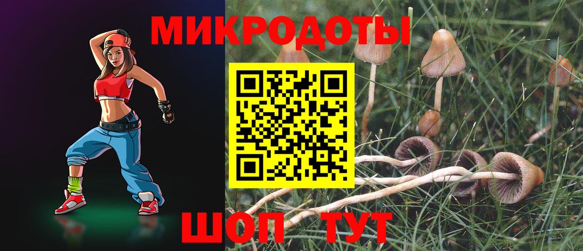 Псилоцибиновые грибы Psilocybe  Галлюциногенные грибы мицелий  Вход с VPN  Феодосия 