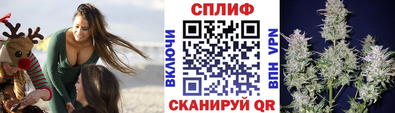 где продают Феодосия Шишки марихуана сатива
