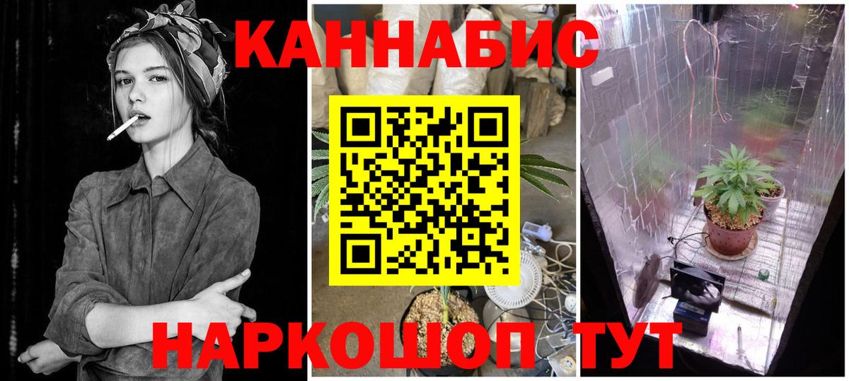 Феодосия  Конопля сатива  Канабис планчик  Канабис Ganja  Вход с VPN 